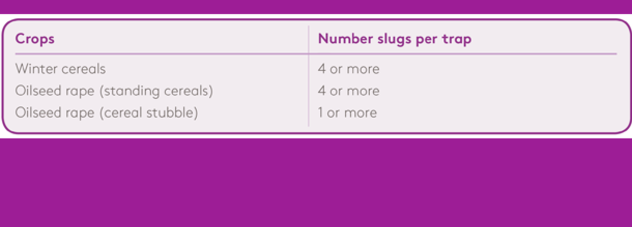 Slug Trapping